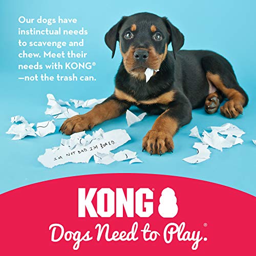 KONG - Classic Dog Toy - Durable Natural Rubber - Fun to Chew, Chase and Fetch - for Large Dogs