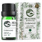 HEALTREE Cedarwood Essential Oil - 100% Pure Cedarwood Oil for Hair & Skin Care Aromatherapy, 10ml