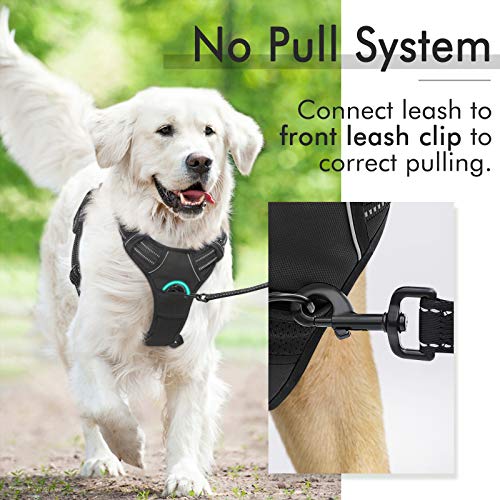 Rabbitgoo Dog Harness No-Pull Pet Harness Adjustable Outdoor Pet Vest 3M Reflective Oxford Material Vest for Dogs Easy Control for Small Medium Large Dogs, Black, L