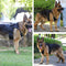 Tactical Dog Vest Harness with Pouches for Medium Large Dogs No Pull, Military Dog Harness with Rubber Handle, Service Dog Vest with Molle & Loop Panels, Adjustable Pet Harness for Hunting Walking