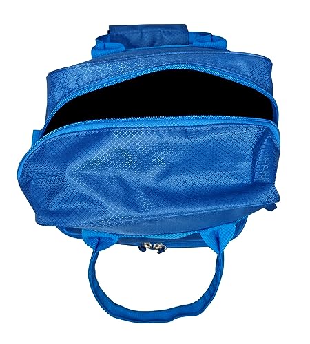 Acclaim Ladies Seattle Deluxe Ripstop Mini Nylon Four Bowls Indoor & Outdoor Bowling Bag with Four Bowls Carrier to Fit Up to Size 2 Bowls (Blue)