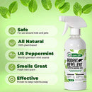 8oz Peppermint Oil Rodent Repellent Spray (2)