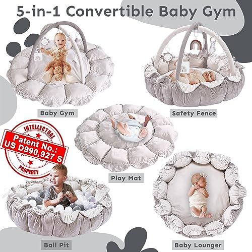 5-in-1 Thick & Plush Play Gym, Convertible Stage-Based Developmental Activity Gym & Play Mat from Baby to Toddler, Ball Pit, Pet Cushion, Balls are not Included