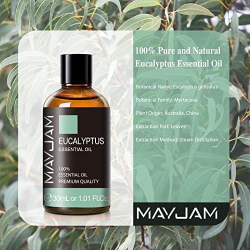 Eucalyptus Essential Oil, MAYJAM 30ML/1.01FL.OZ Pure Eucalyptus Oils for Diffusers, Soap Candle Making, Perfect for Living Room Bedroom Office Car Use