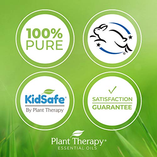 Plant Therapy Be Confident Essential Oil Blend 10 mL (1/3 oz) 100% Pure, Undiluted, Natural Aromatherapy