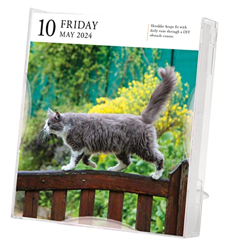 Cat Page-A-Day Gallery Calendar 2024: A Delightful Gallery of Cats for Your Desktop