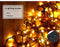 EMITTO 30M 300LED String Solar Powered Fairy Lights Garden Christmas Warm White