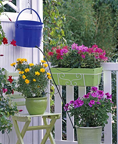 Blumat Tropf Medium Box Kit - Automatic Irrigation for Up To 12 Plants (12 Pack), Water Up to 12 Plants | Garden, Patio, Hanging Baskets, Raised Bed, Greenhouse | Sustainable Outdoor Irrigation System
