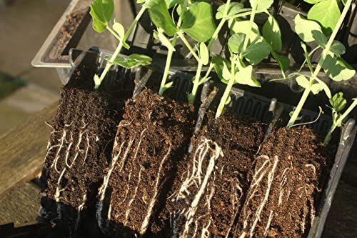 Tierra Garden 50-9000 Haxnicks Rootrainers Seed and Cutting Propagation Kit - Deep, Clear