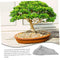 Abaodam Rockery Ornament Fall Centerpieces for Tables Decorative Rockery Figurine Bonsai Home Décor Fake Leaves All Departments Turf Artificial Rocks Rockery Stones Tank Sandstone Outdoor