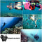 Wetsuit Gloves Neoprene Scuba Diving Gloves Surfing Gloves 3MM 5MM for Men Women Kids, Thermal Anti Slip Flexible Dive Water Gloves for Spearfishing Swimming Rafting Kayaking Paddling