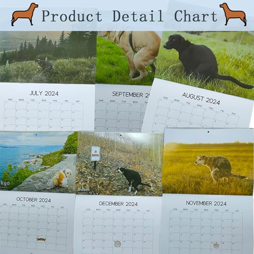 ZKAYX Wall Calendar 2024, Dogs Pooping In Beautiful Places 2024 Calendars January from December for Dog Lovers, Monthly Calendar Planner for Home, Hostel