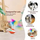 Bighan 9 PCS Cat Interactive Toys, Cat Tumbler Toys Cat Spiral Spring Toy for Indoor Cats for Cat and Kitten Exercise Anxiety Ease Interactive Training Fun Cat Stick Toys, Red