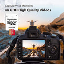 Gigastone 256GB Micro SD Card, 4K Camera Pro, 4K Video Recording for GoPro, Action Camera, DJI, Drone, R/W up to 100/60 MB/s MicroSDXC Memory Card UHS-I U3 A2 V30 C10