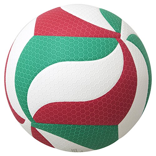 Molten V4M5000-L Volleyball Fristatech Lightweight No. 4 Test Ball