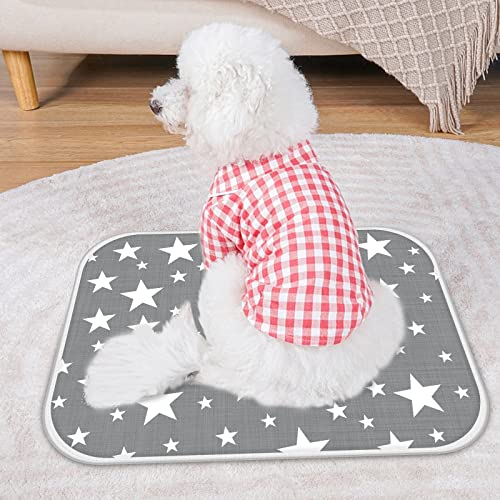 LONENESSL Pee Pad for Dogs 2 Pack, Washable Puppy Pads for Potty Training, Eco-Friendly Reusable Puppy Training Pads Puppy Pet Dog Indoor Cat Toilet Training Pads Dog Mat Super Absorbent 50*70CM