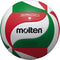 Molten V5M3500 Volleyball No. 5 Practice Ball