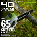 Greenworks 8 Inch 40V Cordless Pole Saw with Hedge Trimmer Attachment 2.0 AH Battery Included PSPH40B210
