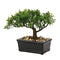 U/S Bonsai Tree, Fake Plants Ceramic Potted Tree Artificial Japanese Cedar Bonsai Tree Decoration for Home Desk Office Bathroom Kitchen Farmhouse Indoor/Outdoor (Bonsai Tree #02)
