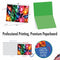 10 Assorted 'Light Brights' Blank All Occasion Christmas Cards with Envelopes (Mini 4" x 5.25"), Boxed Season's Greetings Cards With Close-Ups of Colorful Holiday Lights #M3276