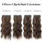 4PCS Thick Hairpieces Clip in Hair Extensions for Women Synthetic Clip in Long Wavy Hair Extension 20 Inch Double Weft Hairpieces Full Head for Women