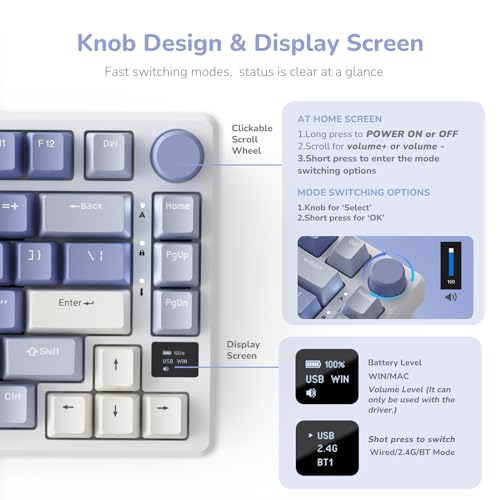 RK ROYAL KLUDGE M75 Gaming Keyboard Wireless 75% TKL Mechanical Keyboard RGB 2.4GHz Wireless/Bluetooth/USB-C QWERTZ with OLED Smart Display and Button Hot Swappable Brown Switch, Lavender Purple