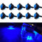 10 Pack Waterproof Marine Boat LED Lights, LED Underwater Lighting, Utility Led Interior Lights Navigation Lights Deck Courtesy Lights 12V for Yacht Boat Fishing Pontoon Sailboat Kayak (Blue)