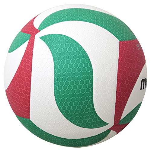 V5M5000 Premium Competition Volleyball