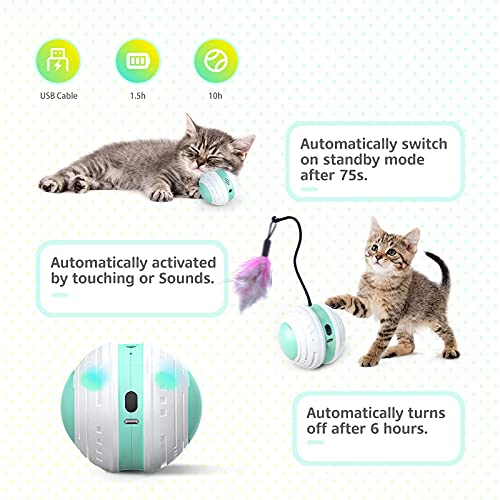 Beedove Interactive Cat Toys, 360 Degree Self Rotating Feather Robotic Cat Ball, USB Rechargeable Electric Kitten Toys with LED Lights and Funny Bird Sound for Indoor Cats/Pets