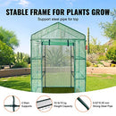 VEVOR Walk-in Green House, 55.5 x 29.3 x 80.7 inch, Portable Greenhouse with Shelves, High Strength PE Cover with Roll-up Zipper Door and Steel Frame, Set Up in Minutes, for Planting and Storage