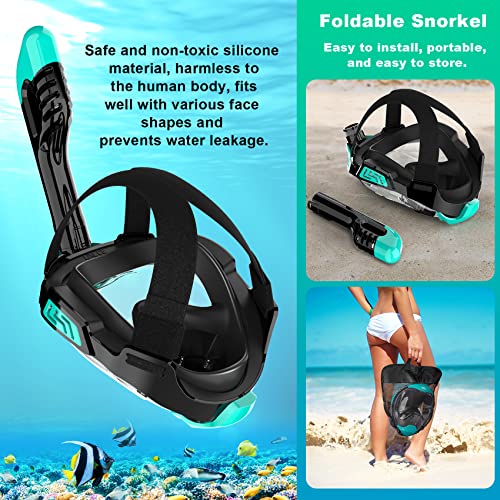 Zeeporte Dive Full Face Snorkel Mask, Snorkeling Gear for Adults Kids with Latest Dry Top Breathing System and Detachable Camera Mount, Foldable Mask with 180 Degree Panoramic View, Anti Leak&Fog
