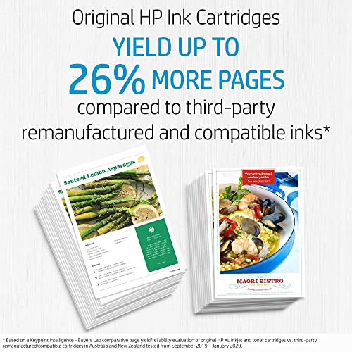 HP 965XL Genuine Original High Yield Black Ink Printer Cartridge works with HP OfficeJet Pro 9010 All-in-One Printer series, HP OfficeJet Pro 9020 All-in-One Printer series - (3JA84AA)