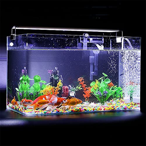 1 Gallon Aquarium Fish Tank，Rimless Aquarium Tank，7.8" L × 6.3" H × 5.5" W