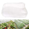 Garden Vegetable Protection Netting, Fine Mesh Insect Protection Net for Garden, Greenhouse, Plants, Fruit, Flowers, Crops, Pesticide Repellent (3 * 4m)