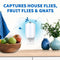 ZEVO Electric Flying Insect Trap Starter KIT | Device | Model 3 | Mosquito Killer| Fruit Fly Trap | UV Light attracts Insect |