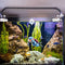 Zayookey 2Pcs Floating Fish Tank Decorations Lovely Blue Fat Diver Funny Device Fish Tank Accessories Small Cartoon Aquarium Ornament for All Kinds of Fish Tanks (Blue Fat Diver)
