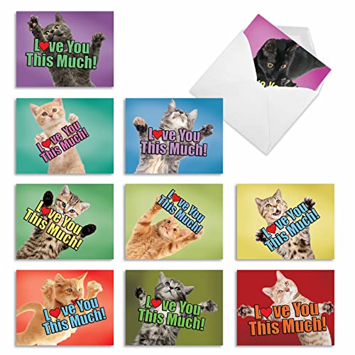 10 'Cat Love You This Much' Blank Greeting Cards Featuring Kittens w/Paws Spread to Show Love - All Occasion Cards with Envelopes 4 x 5.12 inch, Stationery for Birthday, Baby, Thank You M6610OCB