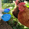 5 Pack Automatic Chicken Waterer Cups, Poultry Water Feeder Kit, Chicken Water Feeder Suitable for Chicks, Duck, Goose, Turkey and Bunny(Blue)