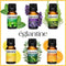 EGLANTINE Essential Oil Sets Top 6 Oils for Aromatherapy Oil Blends for Diffusers 100% Natural Massage, Candle Making, Home Care Eucalyptus, Lemon, Lavender, Orange, Peppermint, Tea Tree