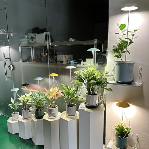 LED Grow Lights for Indoor Plants 2 Pack, Smart Full Spectrum USB Small Plant Lights with Remote, Height Adjustable, Auto On/Off Timer, Ideal for Home Decoration