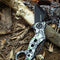 RAXCO Folding knife Pocket for camping & daily-use,Foldable Knives
