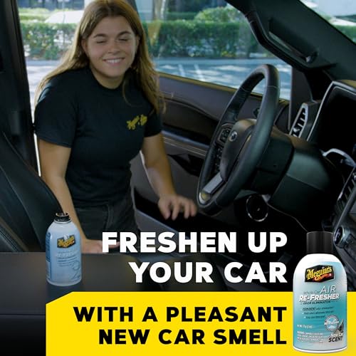 Meguiar's New Car Scent Air Re-Fresher