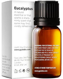 Gya Labs Eucalyptus Essential Oil - 100% Natural Eucalyptus Oil Essential Oils for Diffuser, Skin, Humidifier & Hair (10 ml)