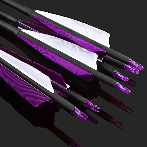 ZSHJGJR 30 Inch Archery Carbon Arrows Hunting Arrows with 4” Turkey Feather Targeting Practice Arrows Spine 500 for Compound & Recurve & Traditional Bow 6/12pcs (12 x Purple Arrows)