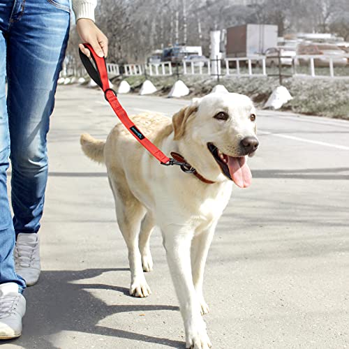 PuppyDoggy Short Dog Leash 18in Padded Handle Dog Lead with 3 Reflective Thread for Large Medium Dogs Heavy Duty Dog Rope Pet Leash for Walking Training 18 in x 1 in (Pink 1 Pack)