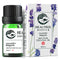 HEALTREE Lavender Essential Oil - 100% Pure Bulgaria Lavender Oil for Hair & Skin Care (10ml)