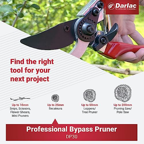 Darlac Professional Pruner – All-Round Garden Pruner – Precision High Carbon Steel Blades – Tension Adjuster With Locking Plate – Slim Profile Handles For Comfort