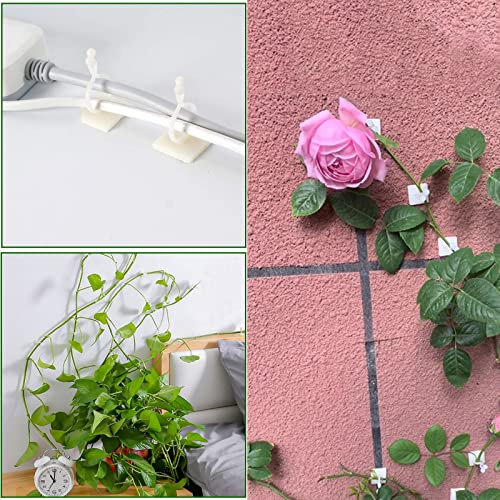 Plant Climbing Wall Fixture Clips Plant Fixer Self-Adhesive Hook Plant Vine Traction Invisible Wall Vines Fixture Wall Sticky Hook Vines Fixing Clip Vines Holder