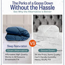 (Full/Queen, Navy/Sleet) - Sleep Restoration Goose Down Alternative Comforter - Reversible - All Season Hotel Quality Luxury Hypoallergenic Comforter -Full/Queen - Navy/Sleet