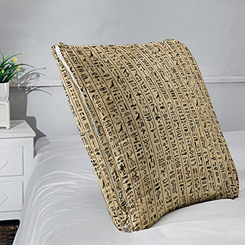 Ambesonne Egyptian Print Travel Blanket, Hieroglyphs Grunge Pattern on Stripes Archeology History Language, Pillow and Comforter Combo Two in One for Camping Dorms, 20" x 20", Sand Brown Black